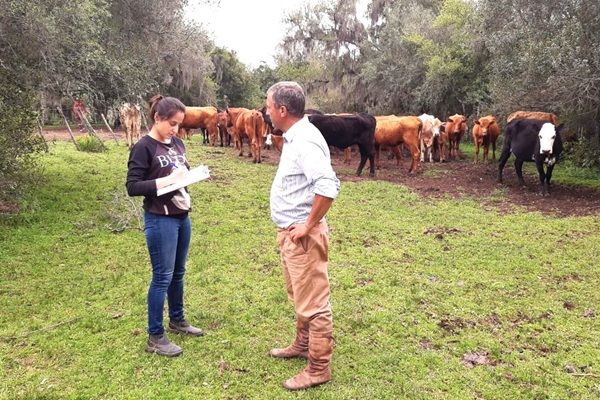 Primavera é o momento ideal para realizar o manejo estratégico e proteger o rebanho dos parasitas