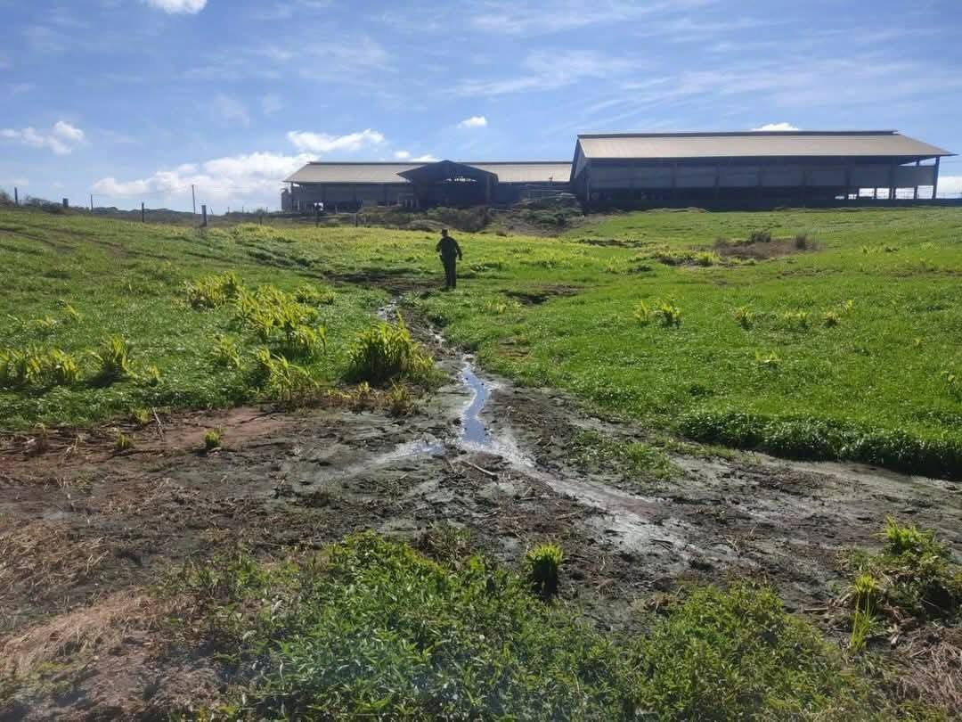 Produtores de leite são multados em R$ 25 mil por descarte irregular de efluentes