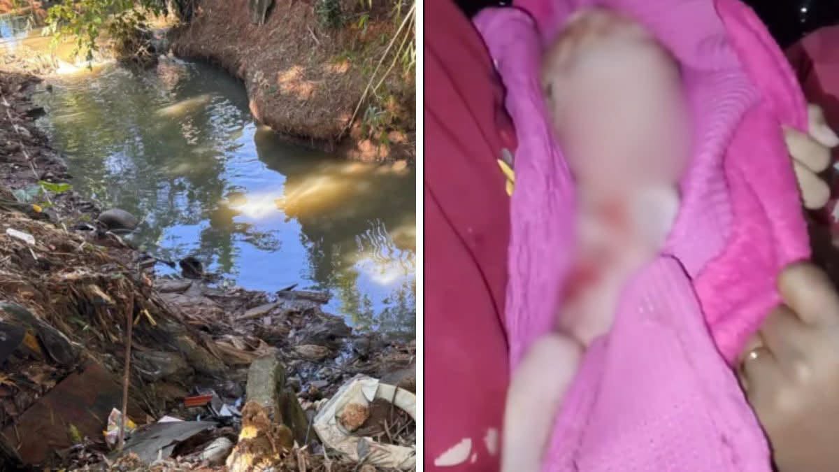 Recém-nascido é encontrado ferido em meio ao lixo após vizinhos confundirem choro com miado em SP